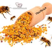 Какая польза пыльцы пчелы для человека: как принимать пыльцу