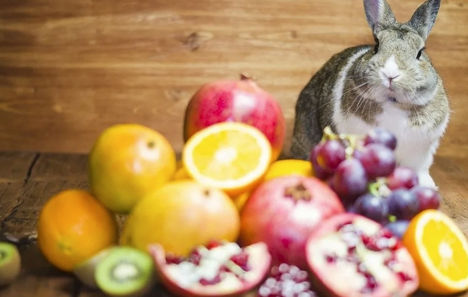 Овощи и фрукты для кроликов