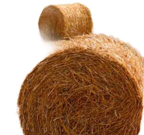 Особенности сезонного потребления сена