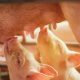Свиноматка не кормит поросят: что делать и как стимулировать кормление